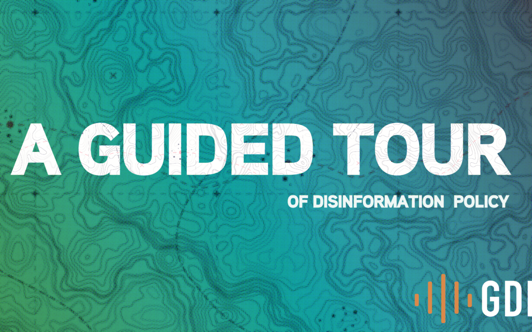 A Guided Tour of Disinformation Policy: Definitions and Why They Matter